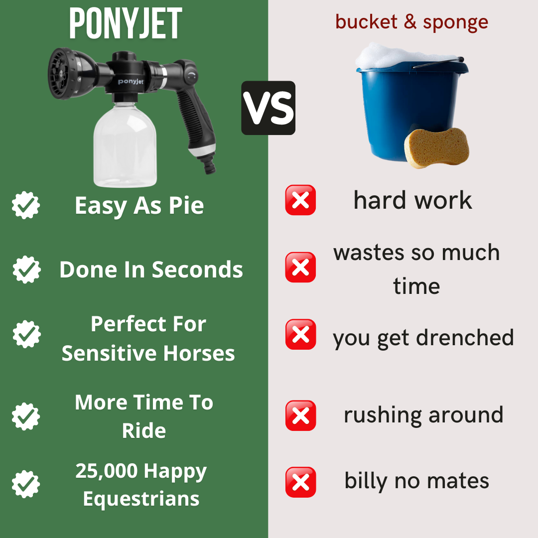 The Ponyjet 3.0
