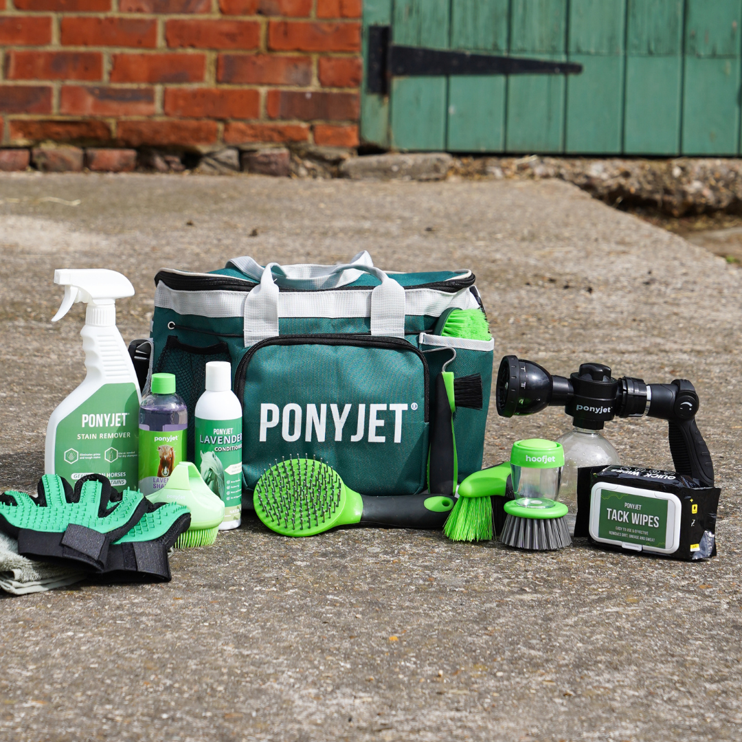 Reinigungstücher für Reitsportausrüstung | 30 Stück pro Packung