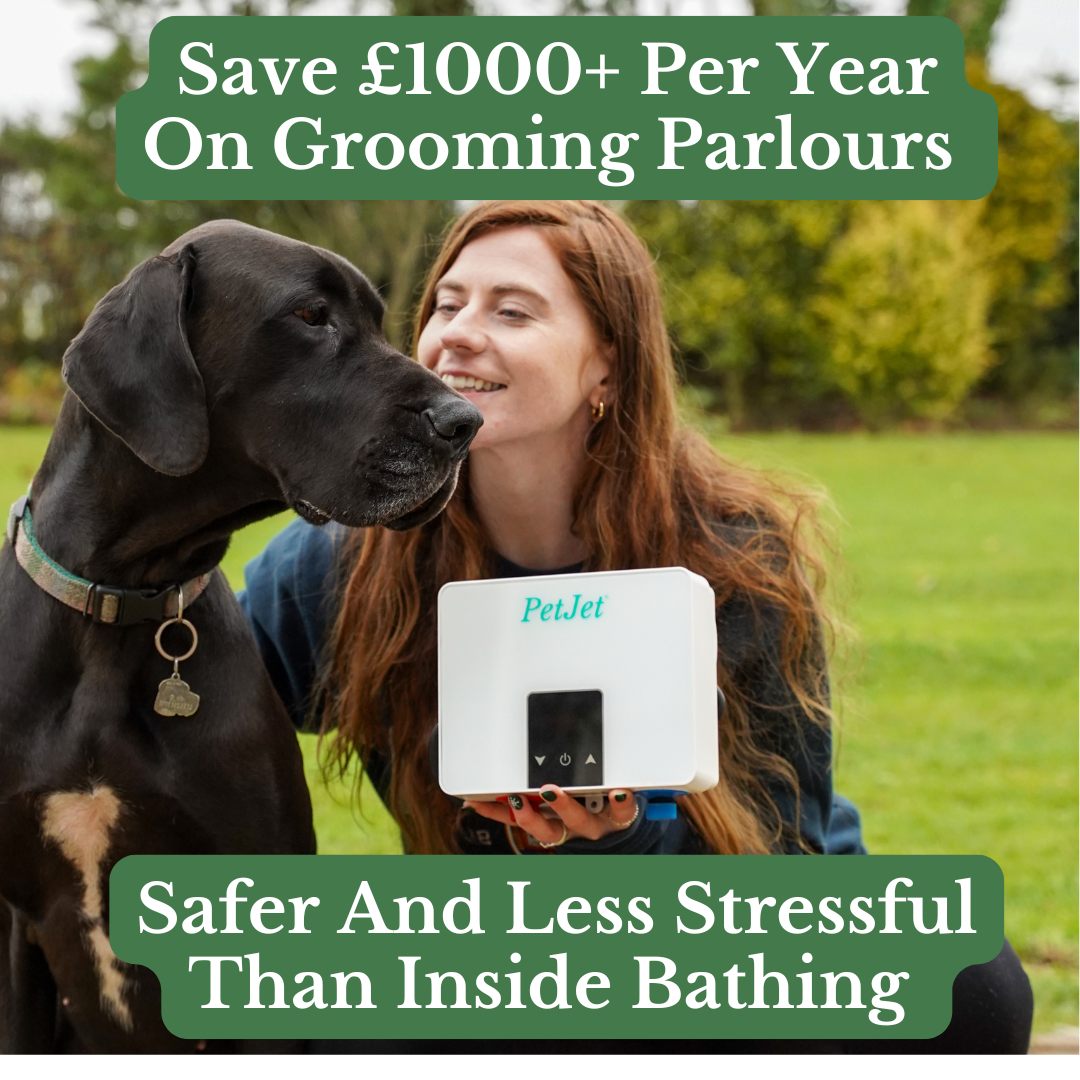 PetJet Plug In Warm Shower Mini™ - 3 kW