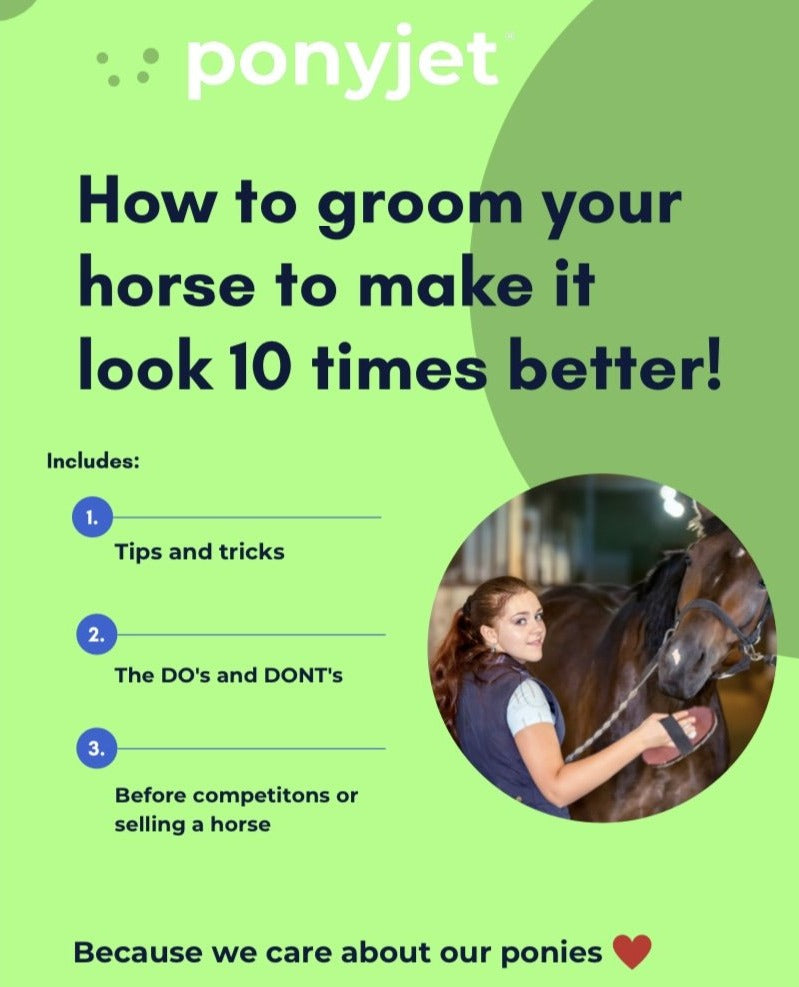 How To Transform Your Muddy Horse Into A Unicorn: eBook